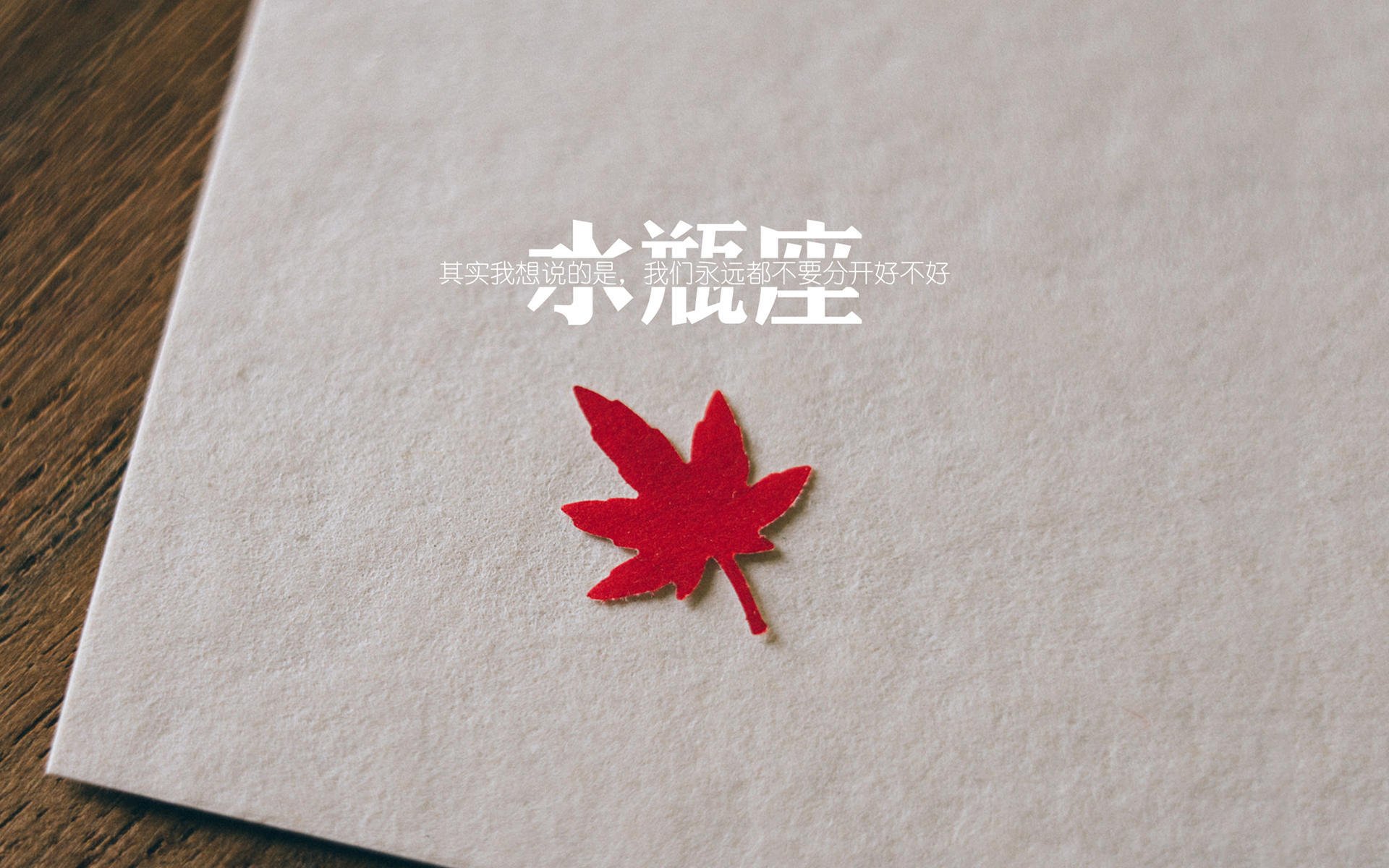 埃及乒乓队的未来：从本土强队到全球霸主，埃及男子乒乓球队