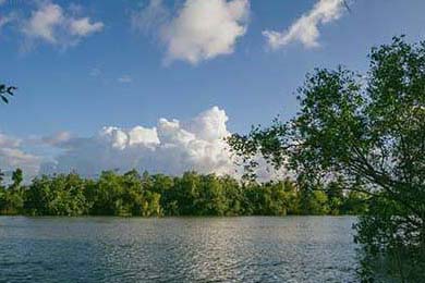 卡普尔凭借稳定表现和突破力，让袋鼠队在比赛中占得先机，卡普尔什么意思