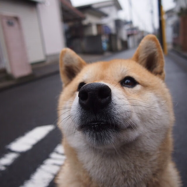 中国男篮引入数据支持提升训练精准度，中国男篮训练视频录像