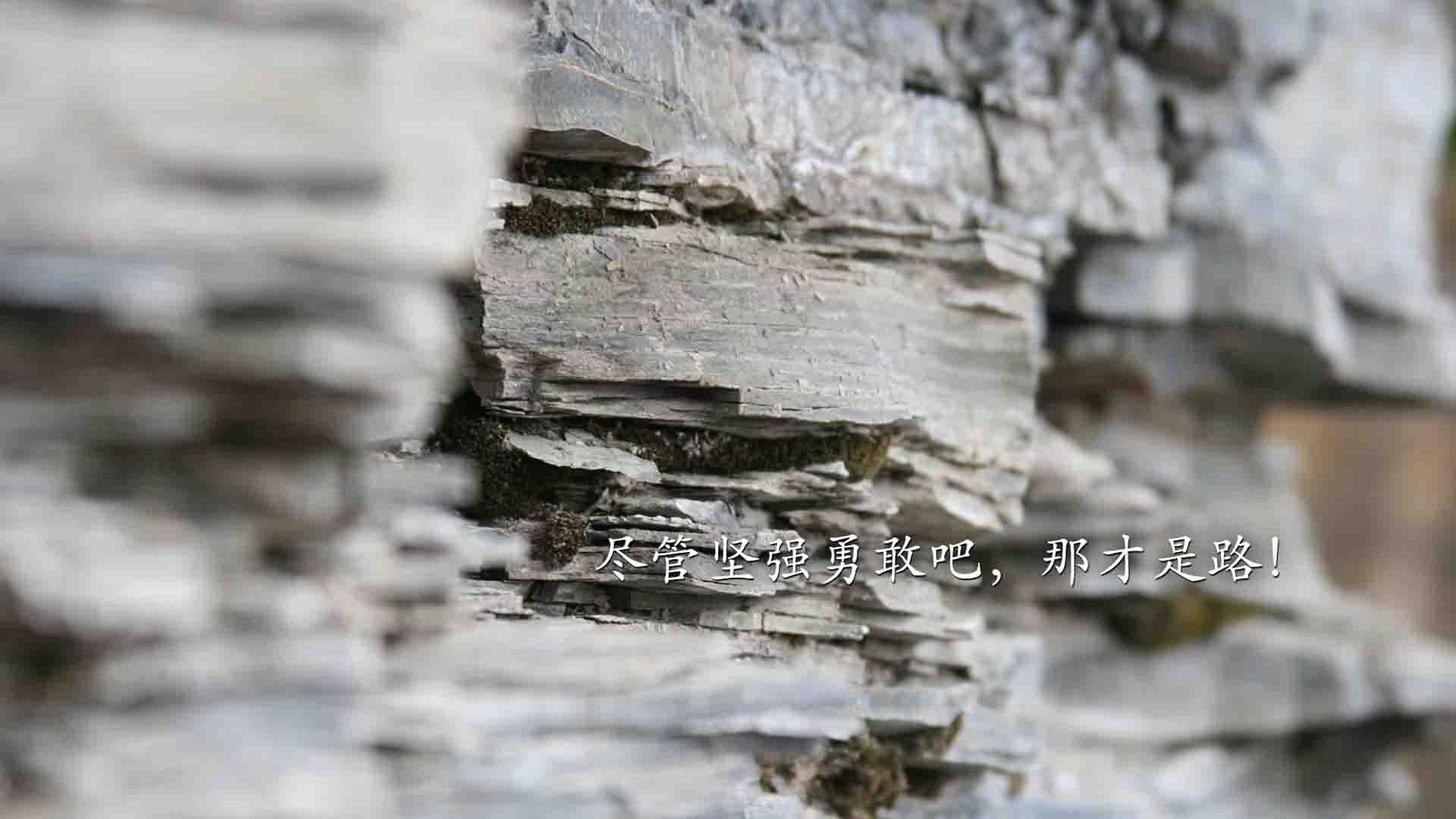 国家队选拔机制需提高透明度，国家队选手是怎么选拔的