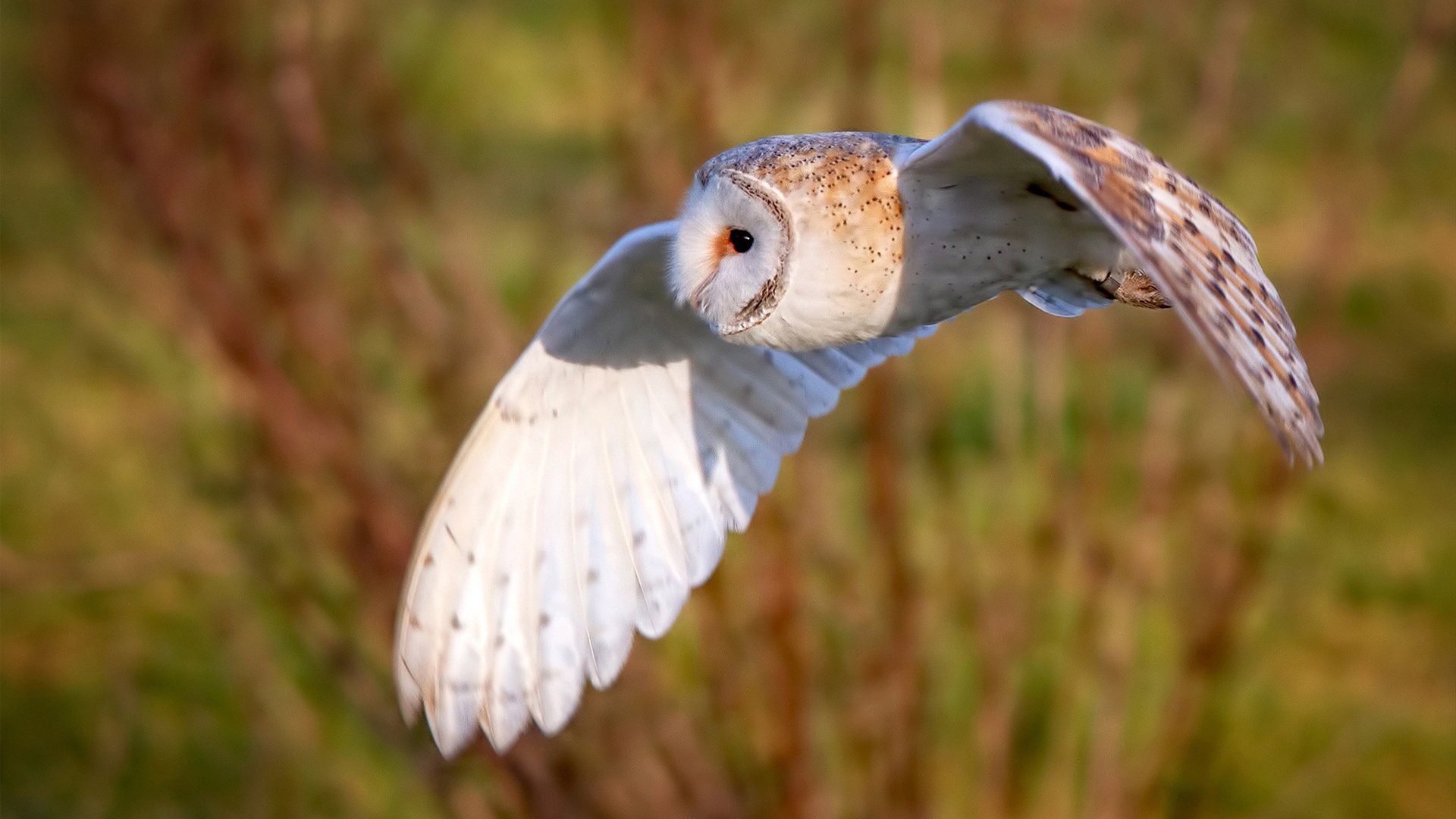 kaiyun-英雄联盟策略博弈成焦点战术准备比拼激烈，英雄联盟游戏技巧战略
