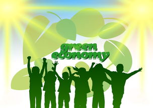 开云中国官网-青年选手成长路径日益明确，青年成长成才计划