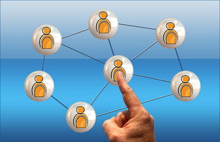 开云综合服务-高校电竞联赛冠军诞生 战术与团队缺一不可，高校电竞联盟挑战赛全国总决赛