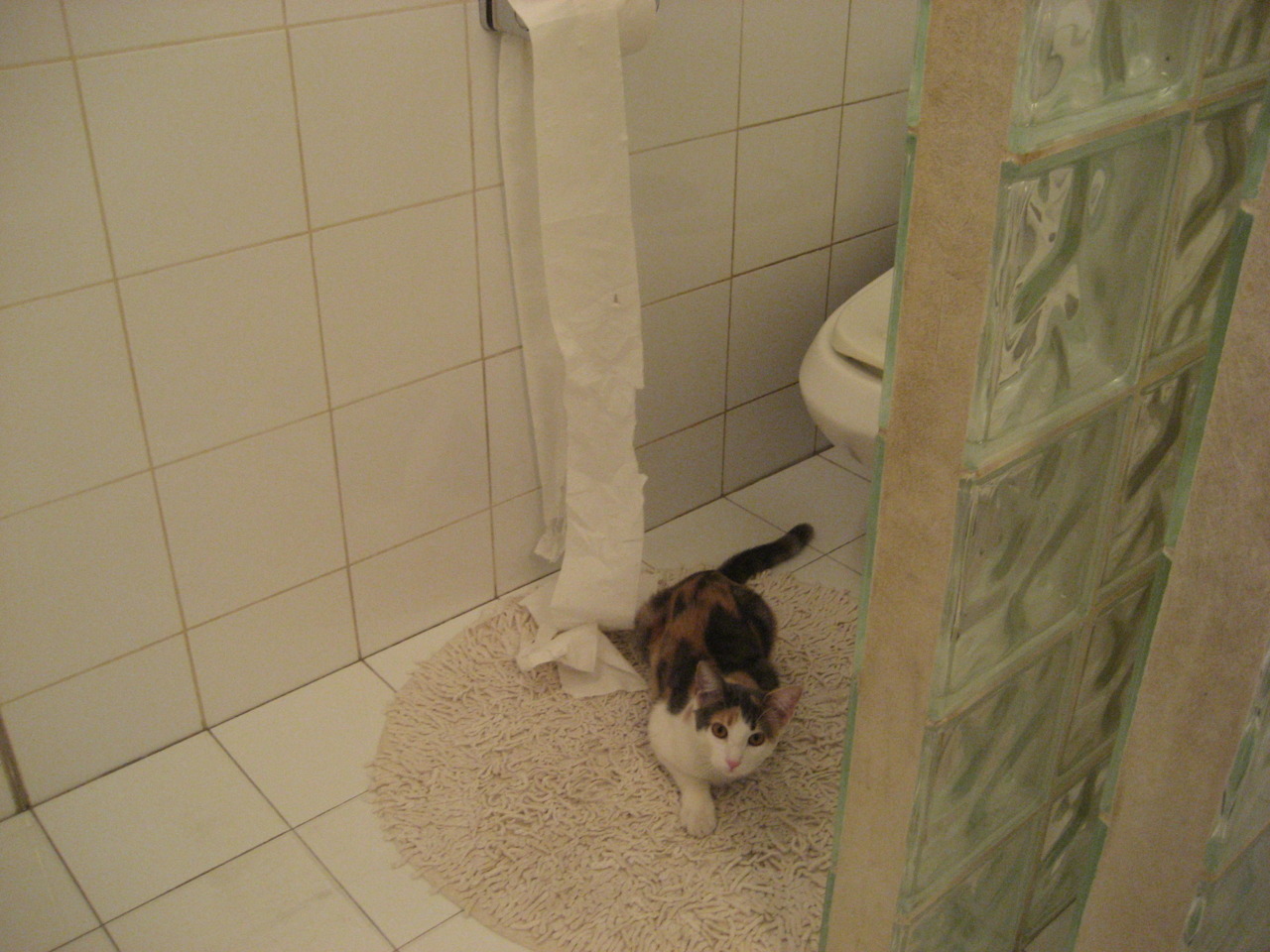 开云备用-世界杯点球大战：紧张刺激，终极决战，世界杯点球大赛