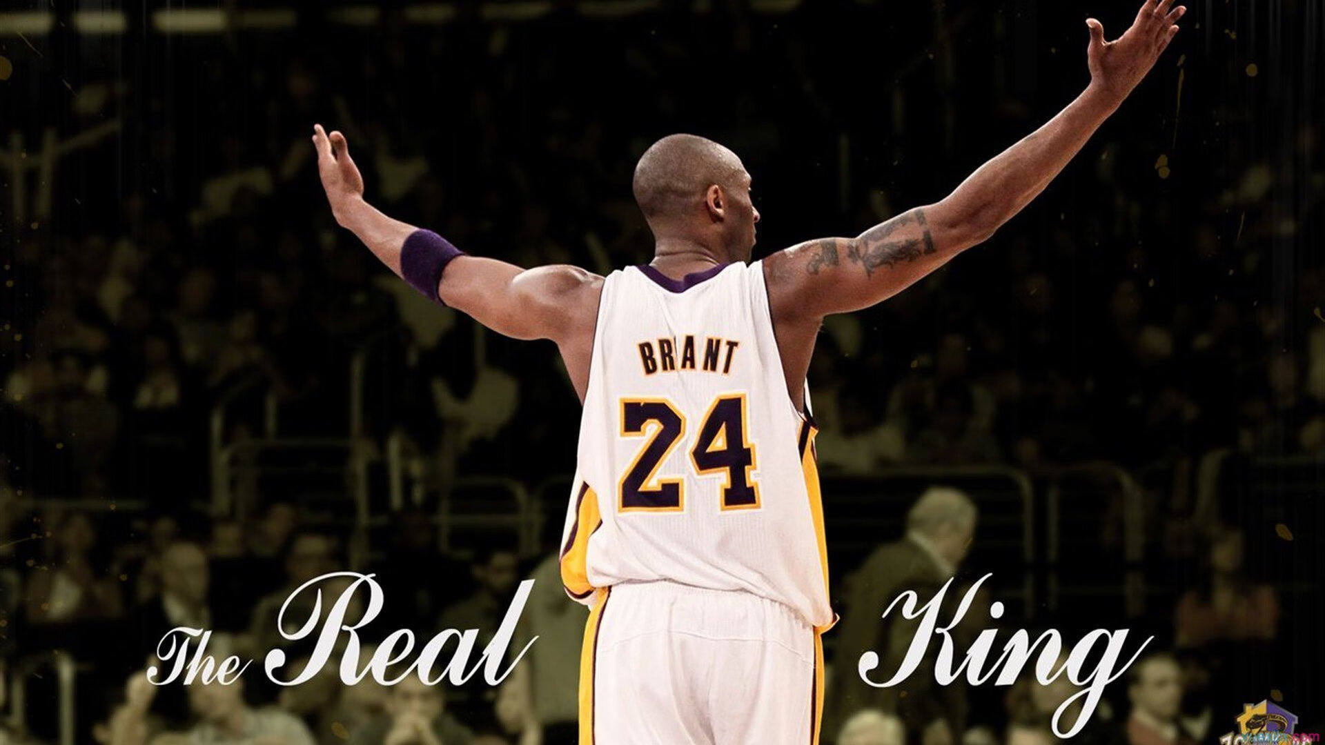 《王者荣耀》年度大赏评选开启,粉丝热情高涨,王者年度颁奖